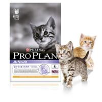 ���� Pro Plan ��� ����� ������ � ������������ � ���������