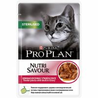 ���� Pro Plan ��� ����� �������� ������ � ������������ � ���������
