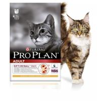 ���� Pro Plan ��� �������� ����� ������ � ������������ � ���������
