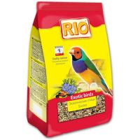  RIO        .  2
