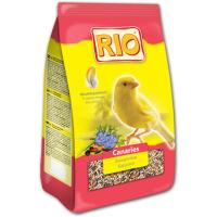 ���� RIO ��� �������� ������ � ������������ � ���������