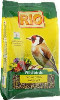 ���� RIO ��� ������ ������ ���� ������ � ������������ � ���������