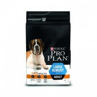 ���� Pro Plan ��� ����� �� ������� ������ � ������������ � ���������