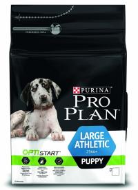 ���� Pro Plan ��� ������ ����� ������ � ������������ � ���������