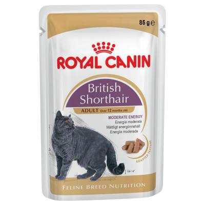 ���� ��� ����� Royal Canin BRITISH SHORTHAIR 85 �.