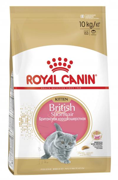    Royal Canin KITTEN BRITISH SHORTHAIR 10000 .