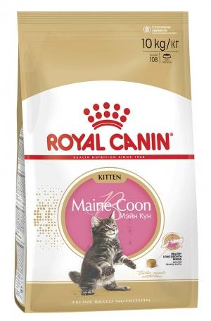 ���� ��� ����� Royal Canin KITTEN MAINE COON 10000 �.
