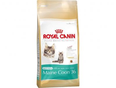 ���� ��� ����� Royal Canin KITTEN MAINE COON 4000 �.