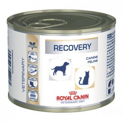    Royal Canin RECOVERY CANINE/FELINE 195 .