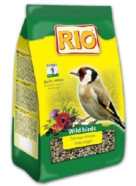 ���� ��� ������ ������ ���� Rio Wild Birds 500 ��