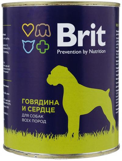 ���� ��� ����� Brit �������� ��������/������ 850 �.