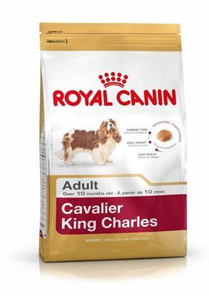 ���� ��� ����� Royal Canin CAVALIER KING CHARLES ADULT 500 �.