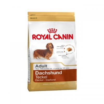 ���� ��� ����� Royal Canin DACHSHUND ADULT 500 �.