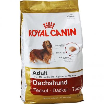 ���� ��� ����� Royal Canin DACHSHUND ADULT 7500 �.