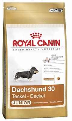 ���� ��� ����� Royal Canin DACHSHUND JUNIOR 1500 �.