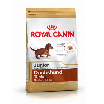    Royal Canin DACHSHUND JUNIOR 500 .