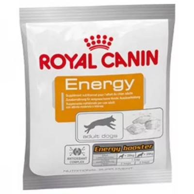 ���� ��� ����� Royal Canin ENERGY 50 �.