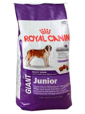 ���� ��� ����� Royal Canin GIANT JUNIOR 15000 �.