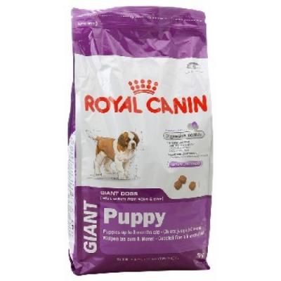 ���� ��� ����� Royal Canin GIANT PUPPY 15000 �.