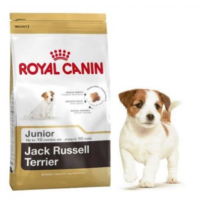 ���� ��� ����� Royal Canin JACK RUSSEL TERRIER JUNIOR 1500 �.