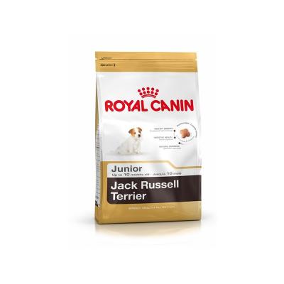 ���� ��� ����� Royal Canin JACK RUSSEL TERRIER JUNIOR 500 �.