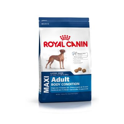���� ��� ����� Royal Canin MAXI ADULT BODY CONDITION 12000 �.