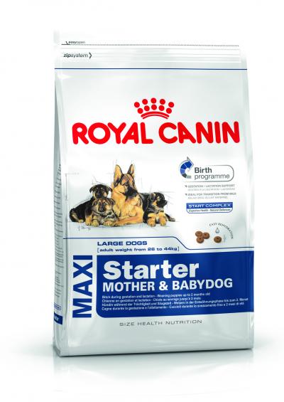 ���� ��� ����� Royal Canin MAXI STARTER MOTHER & BABYDOG 15000 �.