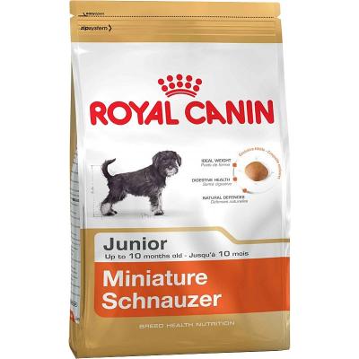 ���� ��� ����� Royal Canin MINIATURE SCHNAUZER JUNIOR 500 �.
