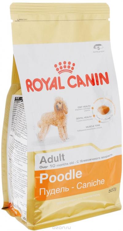 ���� ��� ����� Royal Canin POODLE ADULT 500 �.