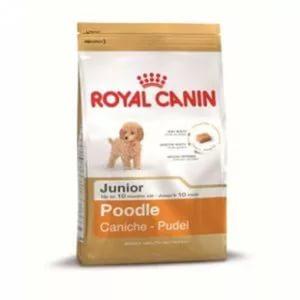 ���� ��� ����� Royal Canin POODLE JUNIOR 500 �.