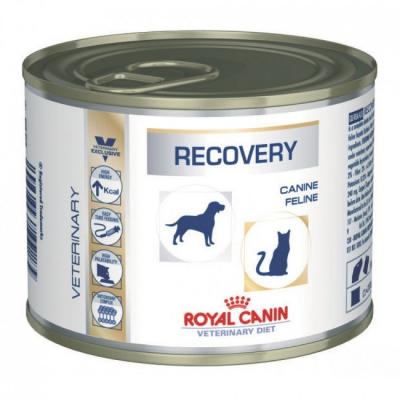 ���� ��� ����� Royal Canin RECOVERY CANINE/FELINE 195 �.